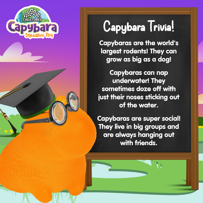 Power Your Fun Capybara Squishy Toy 2-Pack (Purple & Orange)