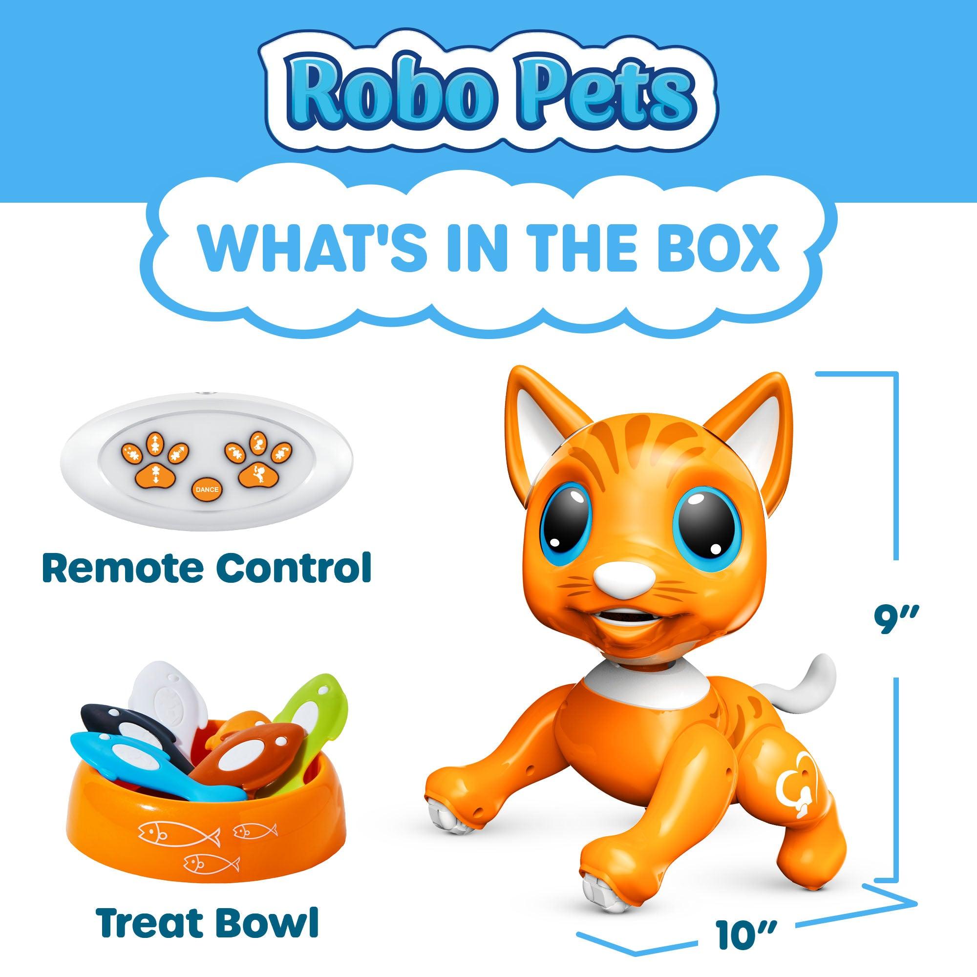 Power Your Fun Robo Pets Cat Toy - poweryourfun